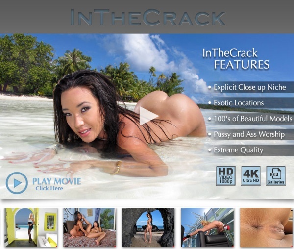 InTheCrack.com
